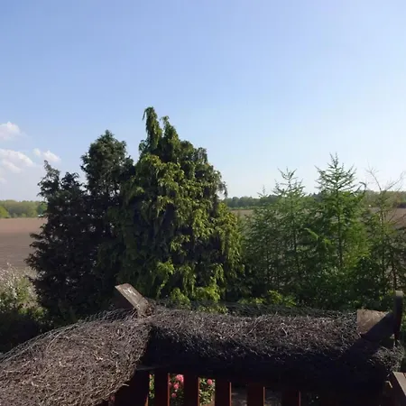 Felderblick Oben *