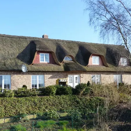 Felderblick Oben Appartement