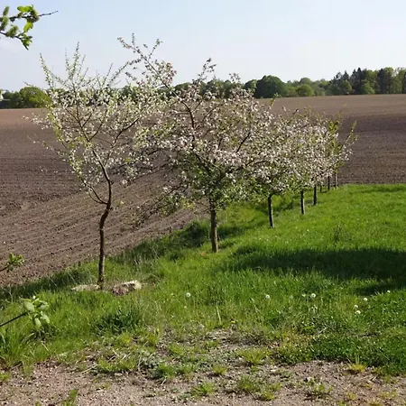 Appartement Felderblick Oben Wennbuttel